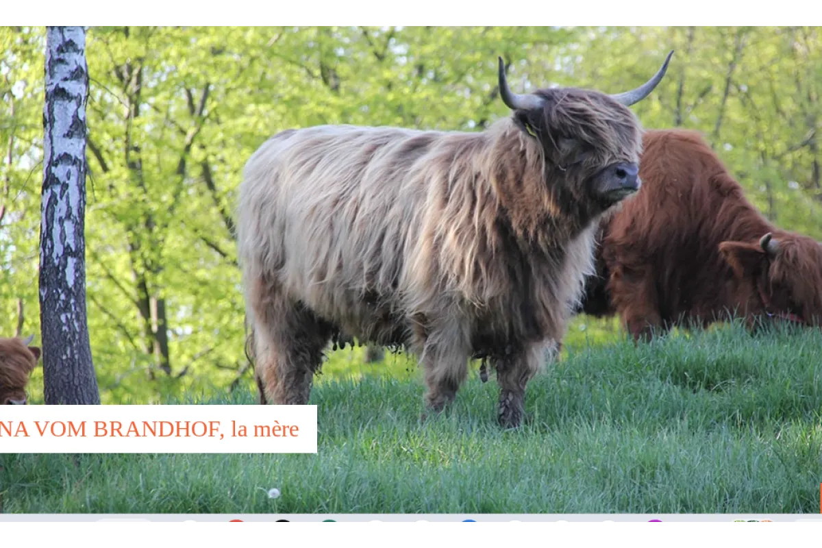Mona vom Brandhof